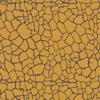 Animal Print Custom Wrapping Paper
