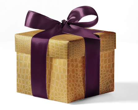 A gift box wrapped in beige and brown animal patterned wrapping paper with a purple ribbon.