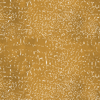 Golden Animal Print Custom Wrapping Paper